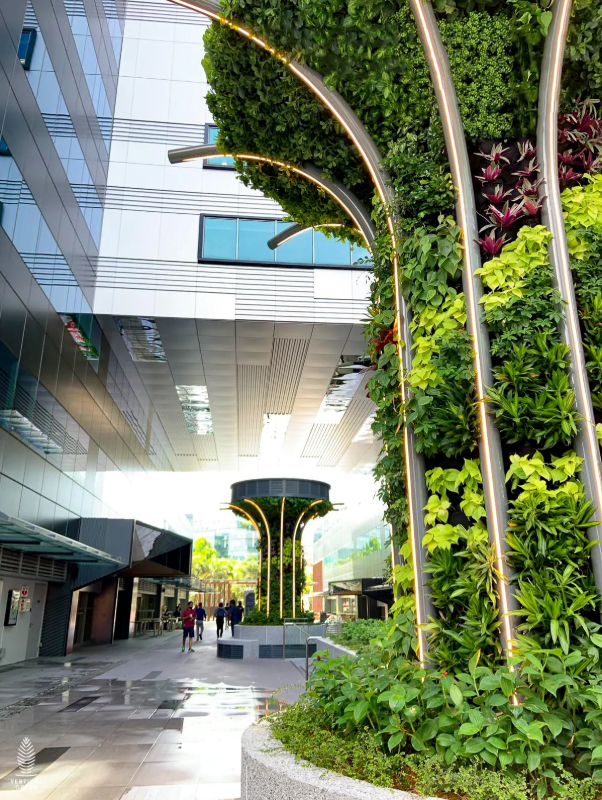 This image shows changi business park green wall